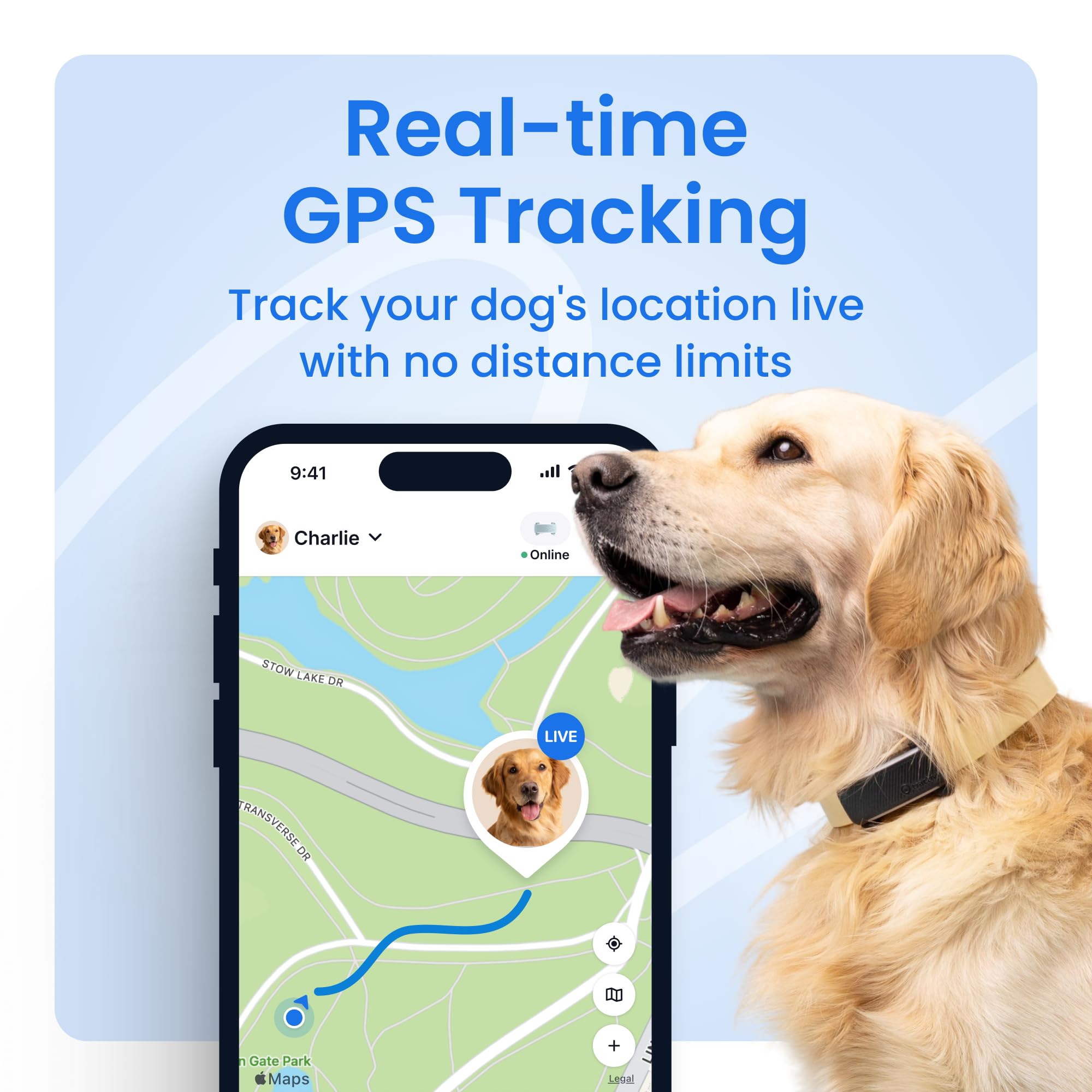 Tractive GPS Dog Tracker (versão 2025 com assinatura gratuita de 6